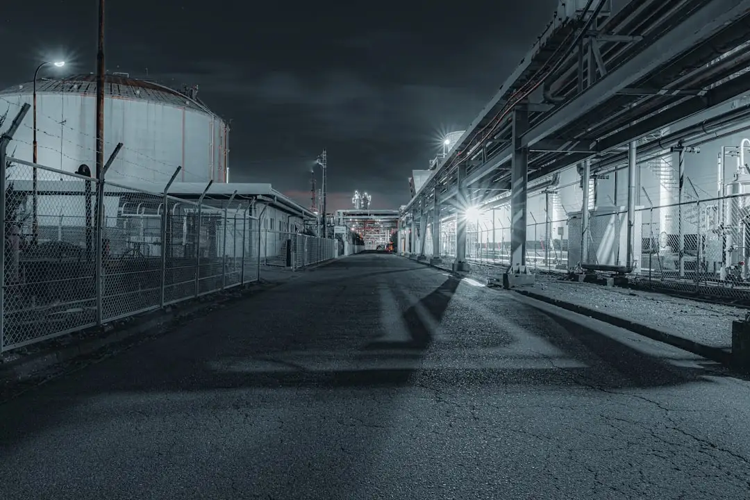 海口龙华区家居用品零售市场观察：日用百货供应趋势与消费需求分析