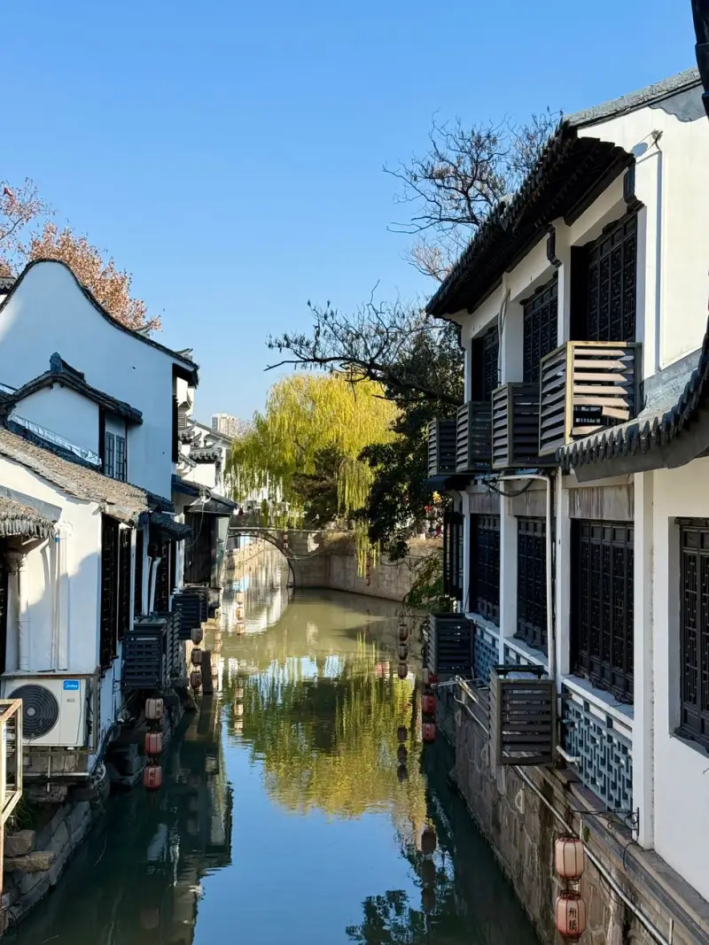 海口家居用品零售市场趋势分析与选品指南